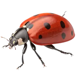 Imagen PNG para descargar